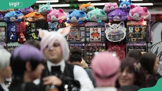 What new anime are coming out in November 2026? Complete schedule and where to watch them