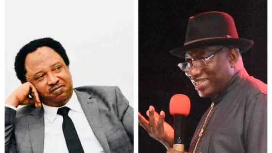 2023 presidency: Don’t allow yourself to be deceived, Shehu Sani warns Jonathan