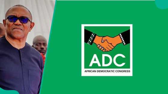 ADC, Obi's allies battle over "broken promises" claim as party speaks on 2027 zoning