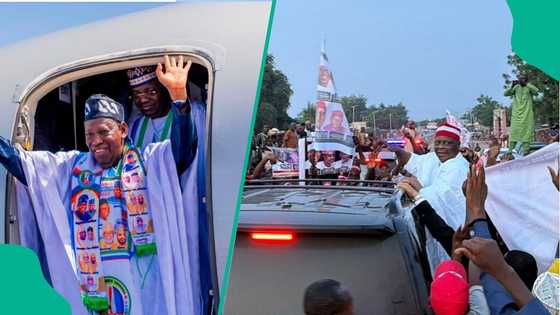 Kano: Wasu na raɗe raɗin haɗin kai da Kwankwaso da takarar Ganduje a NDC