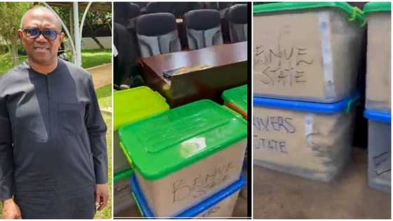 Videos emerge as Peter Obi tenders evidence against Tinubu's victory in boxes before election tribunal