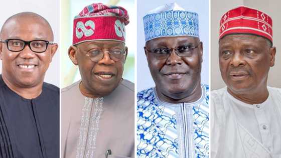 Ambaliya: Peter Obi Ya Gana da Wani Gwamnan Arewa, Ya Aike da Muhimmin Sako Ga Tinubu, Atiku da Kwankwaso