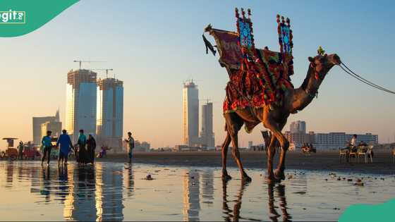 Full list of countries the Pakistani passport can access visa-free
