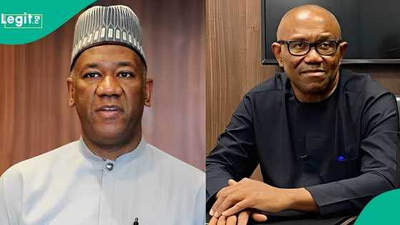 2027 Election: "Obi should not be anyone's VP": Datti Baba-Ahmed declares, gives reasons