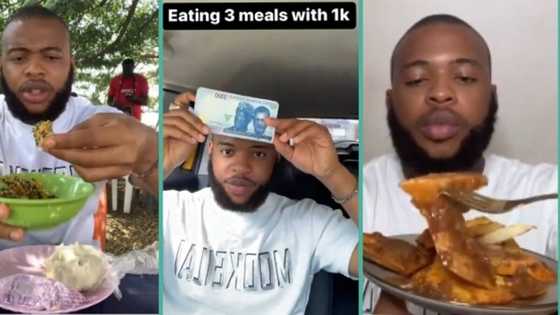 "I spent only N1k": Nigerian man shares how to enjoy 3 square meals daily with small cash, video trends