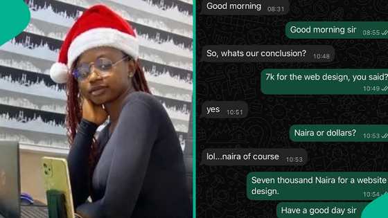 Website designer shares baffling chat with male client who texted her on WhatsApp: "I'm dead"