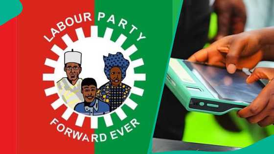 Court gives final judgment on exclusion of Labour party from FCT council polls