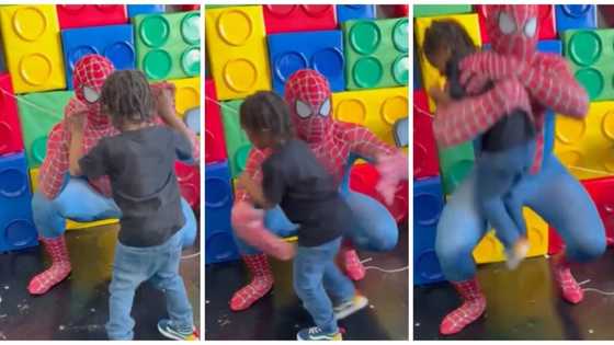 Dad causes laughter as he wears spider-man costume to impress his son who wants to meet movie character