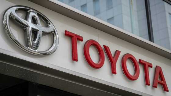 Toyota shutters Japan factories as typhoon approaches