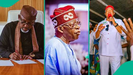 Uzodimma vs Okorocha: Tinubu's fate in Imo projected
