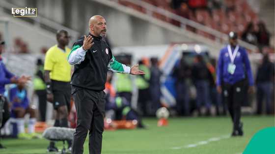 Eric Chelle to call up 22-year-old striker as backup for Osimhen in Super Eagles’ AFCON squad