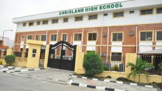 Why I won’t withdraw my daughter from Chrisland school, Mercy Okojie reveals after viral Instagram post