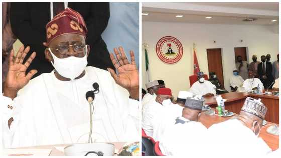 Your ambition is not national: Reactions as Tinubu meets APC senators, appeals for support ahead of 2023