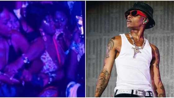 Wizkid and his team joke about guy struggling with ladies for his Bottega jacket: "If I drop am, Make I bend"