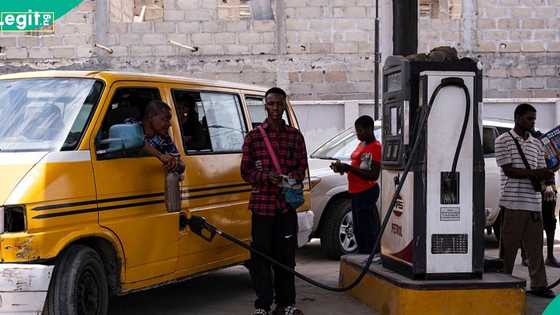 Dangote, other marketers raise diesel price days after reduction