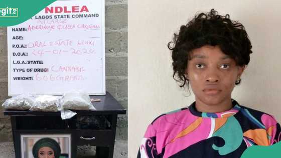 Christmas Aderinoye: NDLEA narrates how wanted ex-beauty queen surrendered after hiding for 8 months