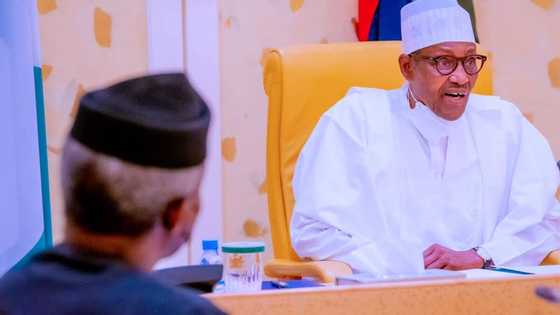 Strike: We’re not owing doctors - FG insists, gives fresh details