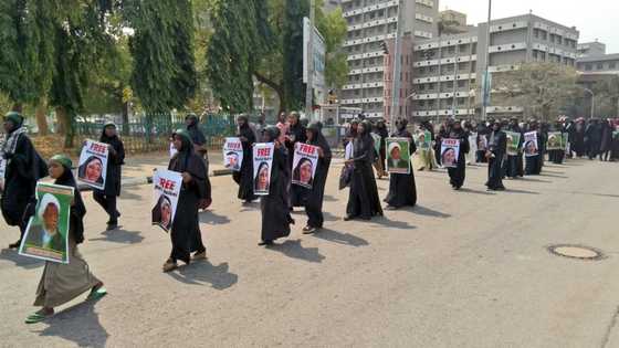 Wata sabuwa: Babu abinda zai hana mu tattaki a ranar Asabar - 'Yan Shi'a