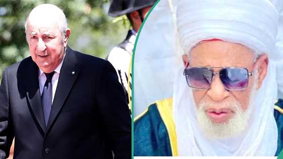 Algeria president thanked for awarding 140 fully-funded scholarships to Nigerians