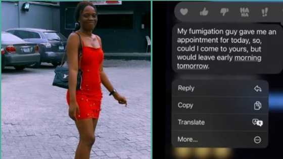 "He is obviously a leech": Lady who met man in less than 24 hours displays message he sent to her