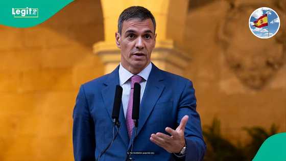 Spain explains 4 ways foreigners can get permanent residency in under 5 years