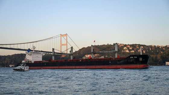 UN, Russia hold talks on grain, fertiliser exports