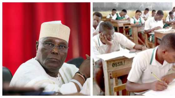 What will happen to Nigerian youths if FG doesn't reverse cancellation of WASSCE - Atiku