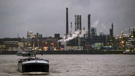 German investors cheered by tariff talks, new government