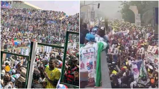 Surprise springs as mammoth crowd storm Tinubu's campaign in Kano, video emerges