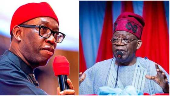 New report reveals why southeast should vote Tinubu, not Okowa