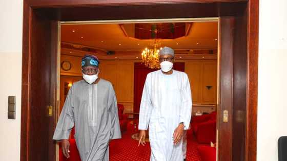 Tinubu 2023: Ohanaeze fumes, alleges injustice APC national leader declares presidential bid