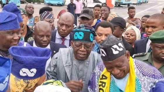 Ana zabga ruwan sama, Ganduje ya jagoranci dandazon masoya zuwa tarban Tinubu a Filin Aminu Kano