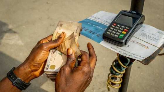 Gwamnatin Tarayya Za Ta Ci Masu Sana'ar Tarar Naira Miliyan 1 Saboda Saba Ka'ida Daya Rak