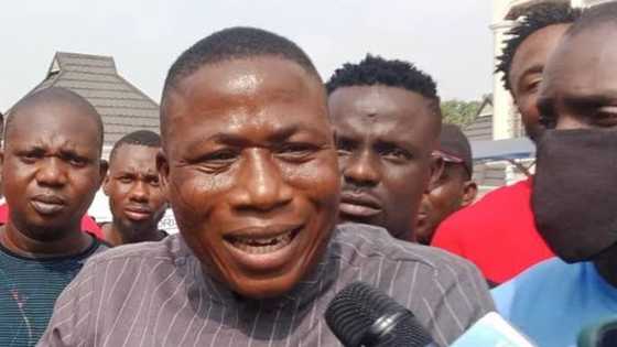 Sunday Igboho to get asylum in Benin Republic? Lawyer clears air