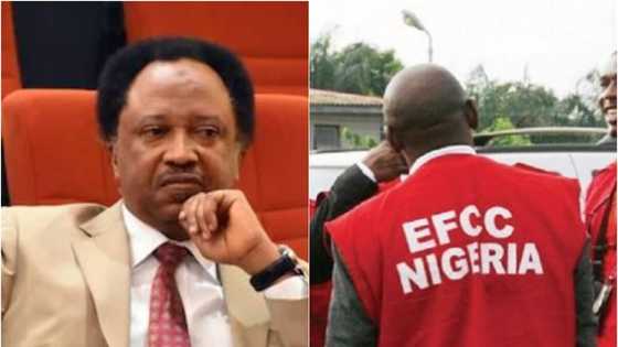 Shehu Sani ya nemi EFCC ta biya shi miliyan 100 na tsare shi ba bisa ka’ida ba