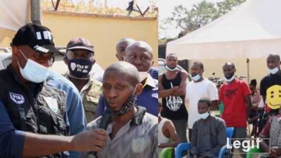 BUSTED: How we sold stolen cars for N400,000, suspect reveals (video)