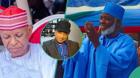 Kano governorship election: Shehu Sani predicts winner as tribunal delivers judgment