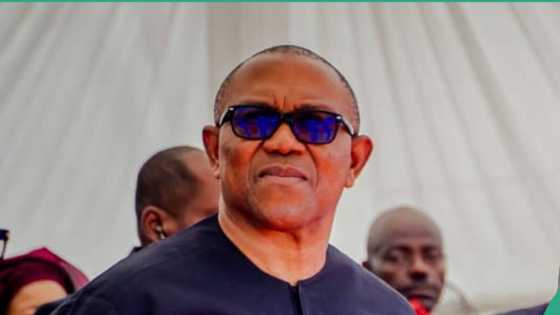"Abodes of the aged and incapacitated": Peter Obi speaks out against Lagos demolition, others