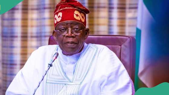 After probing bank officials, FG set to release special investigation report on CBN