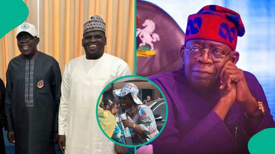 'Ina EFCC?': Watsa wa Rarara kudi a gaban Tinubu ya tayar da kura, an gargadi 'yar APC
