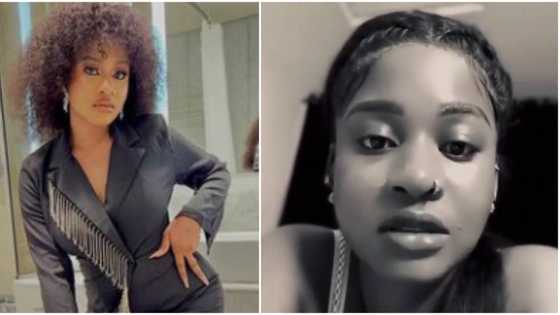 "I've gone through a lot of training": Phyna apologises for bad behaviour since she won BBN, netizens react