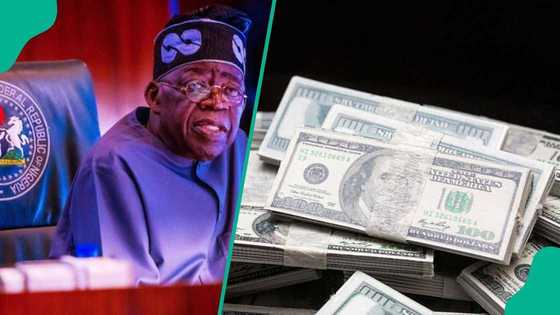 Nigeria’s capital importation hit $10.37bn in Q1, 10 banks records highest share