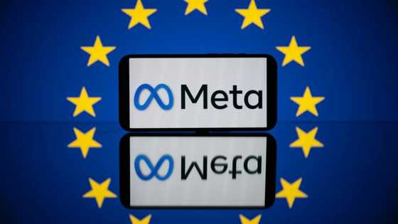 Meta and Spotify blast EU decisions on AI