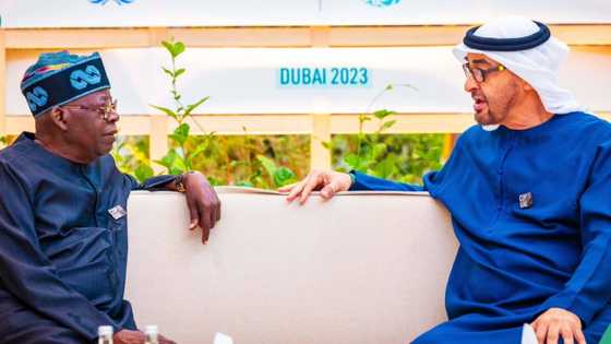 Akwai alheri 1: Shugaba Tinubu ya gana da shugaban UAE, hotuna da bayanai sun bayyana