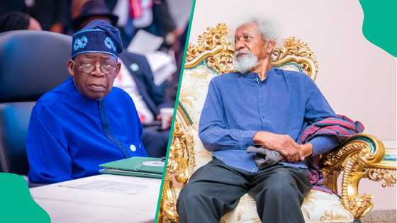 ‘Tinubu should have sent his son to stop Benin coup instead of fighter jets’ - Soyinka speaks in viral video
