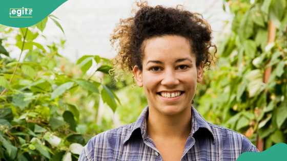 “Farm work with free visa in Canada”: Lady shares job that allows Nigerians to relocate
