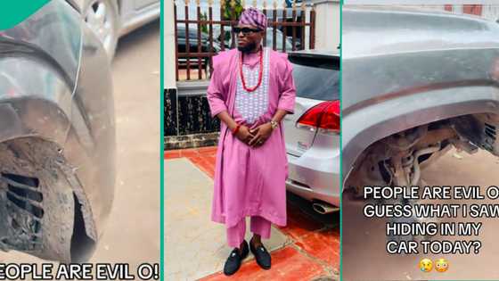 "Be very vigilant and prayerful": Man warns, displays creature he found hiding in his car's fender