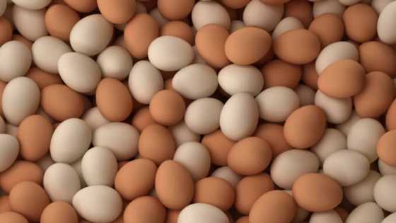 Wata Sabuwa: 'Dan Majalisar da ya jefi shugaban Kasa da kwai zai fuskanci fushin Kakakin Majalisa