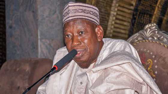 Governor Ganduje planning to dump APC? Kwankwaso reacts