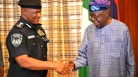 An gano kasashe 3 da gwamnatin Tinubu ta yi nazarinsu don kafa ƴan sandan jihohi
